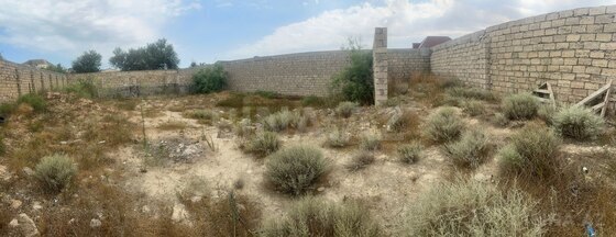 Torpaq Nardaran q., Bakı