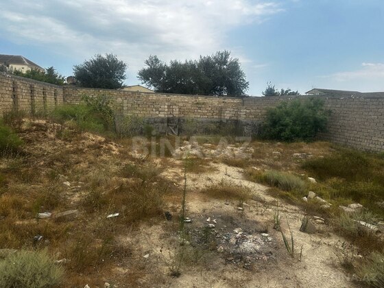 Torpaq Nardaran q., Bakı