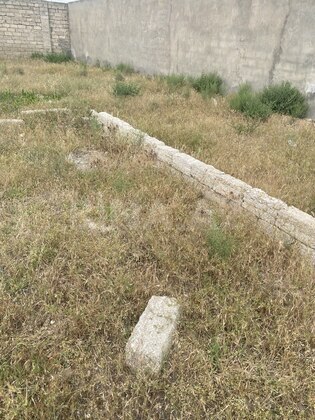 Torpaq Buzovna q., Bakı