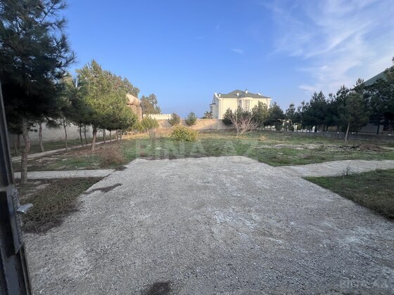 Torpaq Şüvəlan q., Bakı