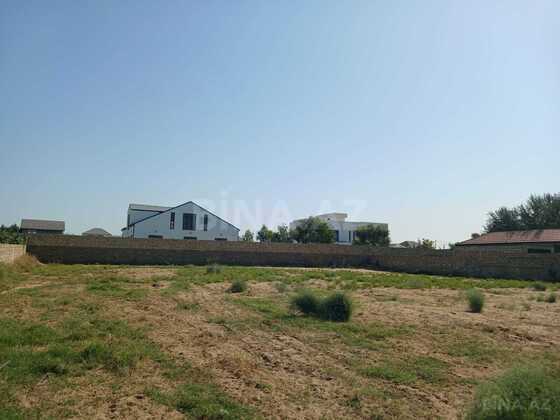 Torpaq Nardaran q., Bakı