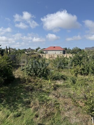 Torpaq Albalılıq q., Bakı