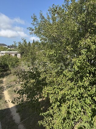 Torpaq Albalılıq q., Bakı