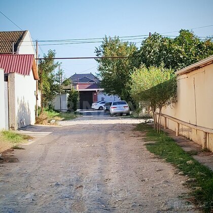 Torpaq Buzovna q., Bakı