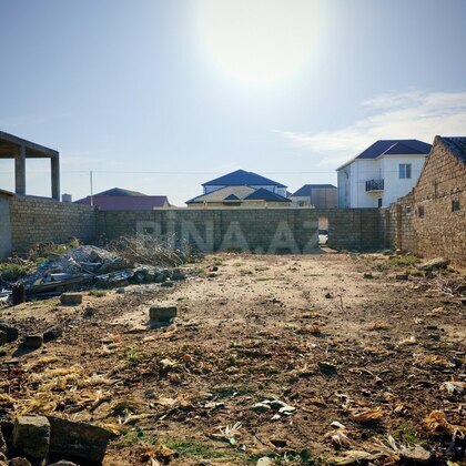 Torpaq Buzovna q., Bakı
