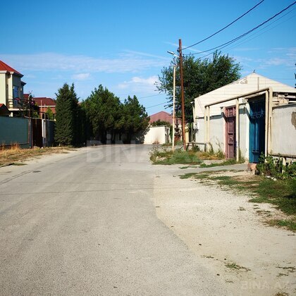 Torpaq Buzovna q., Bakı