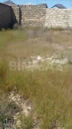 Torpaq Məmmədli q., Bakı
