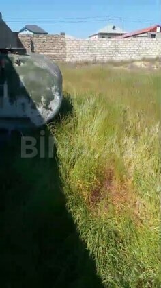 Torpaq Məmmədli q., Bakı