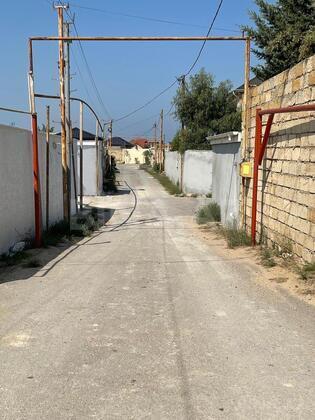 Torpaq Nardaran q., Bakı