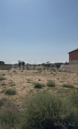 Torpaq Nardaran q., Bakı