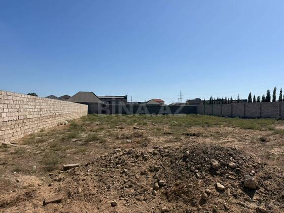 Torpaq Şüvəlan q., Bakı