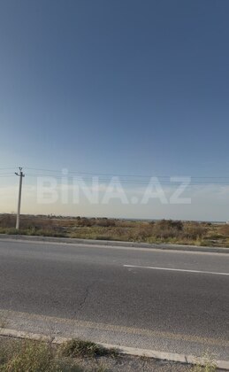 Torpaq Pirşağı q., Bakı