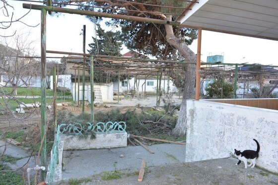 Torpaq Əmircan q., Bakı