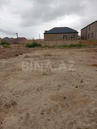 Torpaq Biləcəri q., Bakı