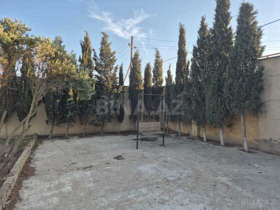 Torpaq Qala q., Bakı