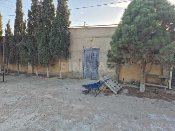 Torpaq Qala q., Bakı