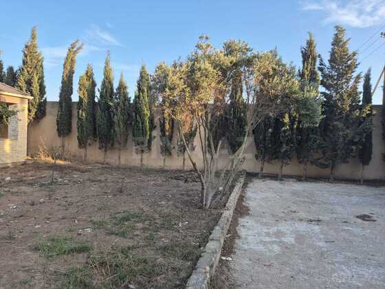 Torpaq Qala q., Bakı