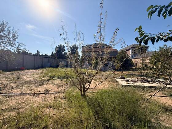 Torpaq Mərdəkan q., Bakı