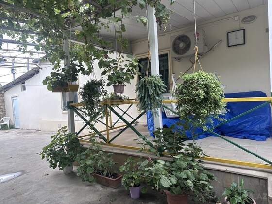 4 otaqlı Həyət evi/Bağ evi, Şüvəlan q., Bakı