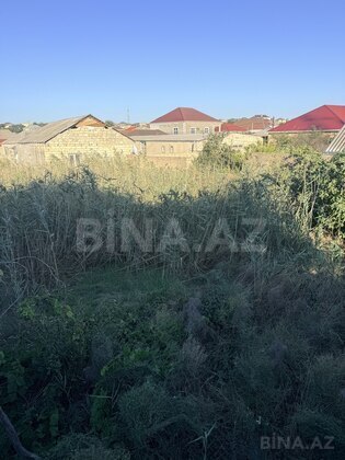 Torpaq Masazır q., Bakı
