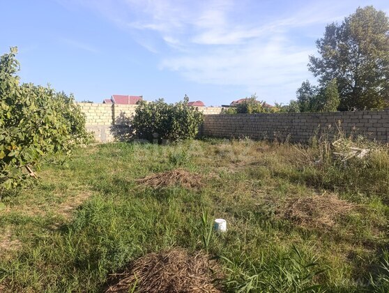 Torpaq Novxanı q., Bakı