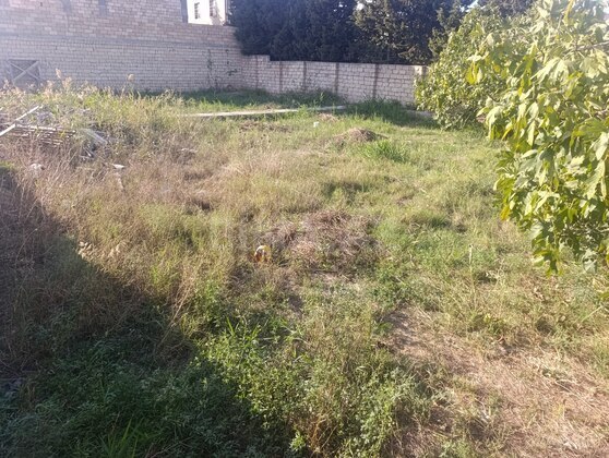 Torpaq Novxanı q., Bakı