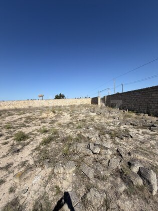 Torpaq Şüvəlan q., Bakı