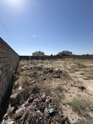 Torpaq Şüvəlan q., Bakı