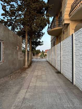 Torpaq Şüvəlan q., Bakı