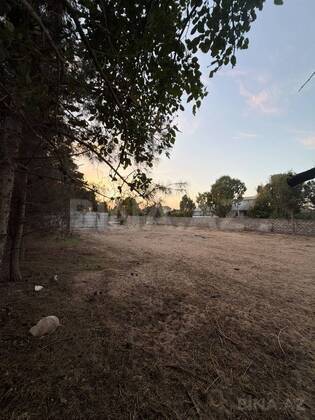 Torpaq Şüvəlan q., Bakı