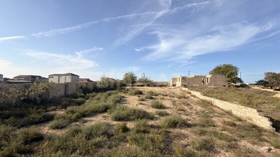 Torpaq Nardaran q., Bakı