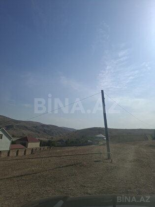 Torpaq Şamaxı