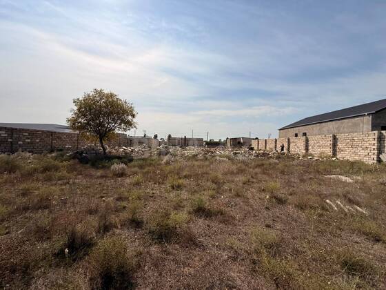Torpaq Şüvəlan q., Bakı
