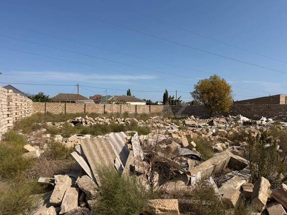 Torpaq Şüvəlan q., Bakı