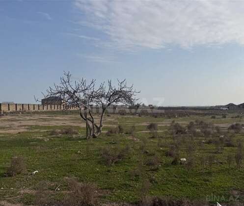 Torpaq Binə q., Bakı
