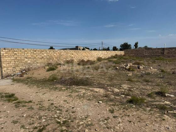 Torpaq Nardaran q., Bakı