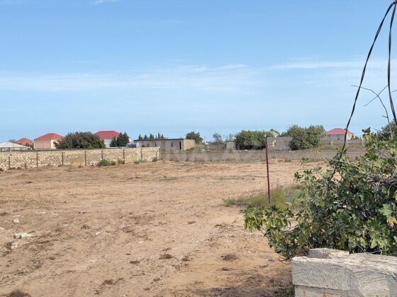 Torpaq Nardaran q., Bakı