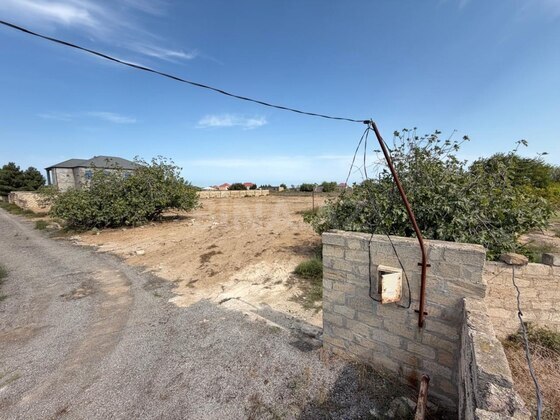 Torpaq Nardaran q., Bakı