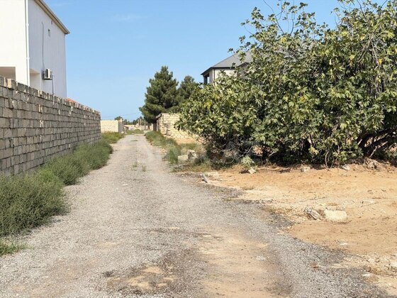 Torpaq Nardaran q., Bakı