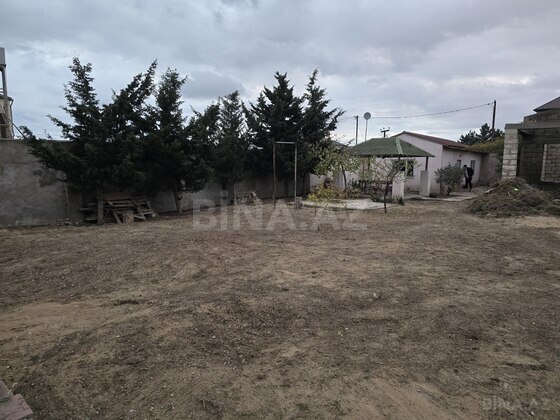 Torpaq Albalılıq q., Bakı