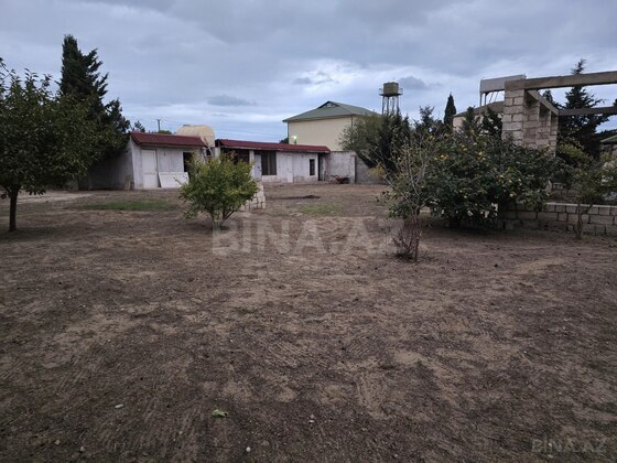 Torpaq Albalılıq q., Bakı