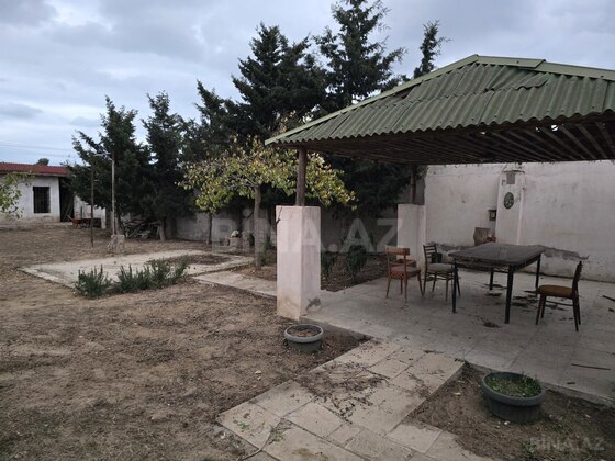 Torpaq Albalılıq q., Bakı