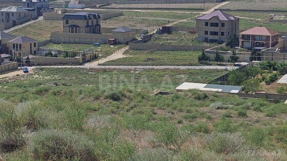 Torpaq Novxanı q., Bakı