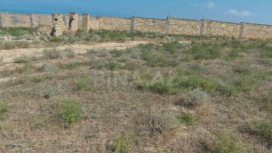 Torpaq Novxanı q., Bakı