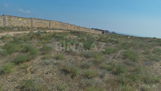 Torpaq Novxanı q., Bakı