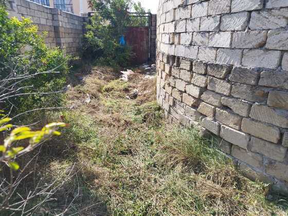Torpaq Novxanı q., Bakı