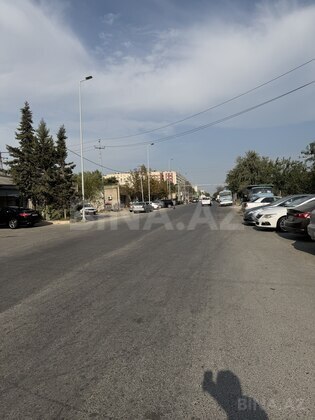 Torpaq Sahil q., Bakı