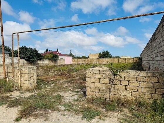 Torpaq Buzovna q., Bakı
