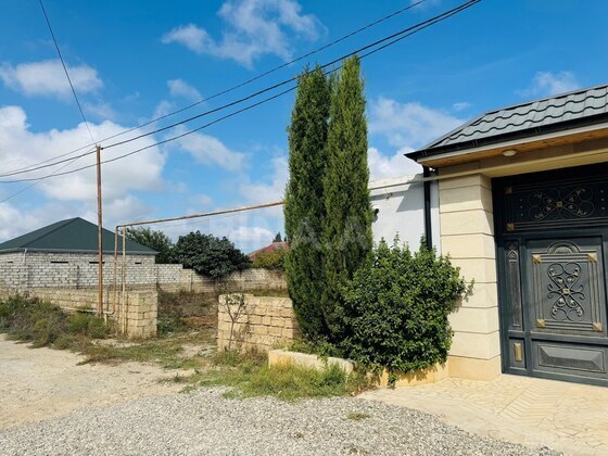 Torpaq Buzovna q., Bakı