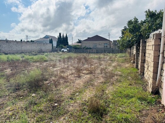 Torpaq Buzovna q., Bakı